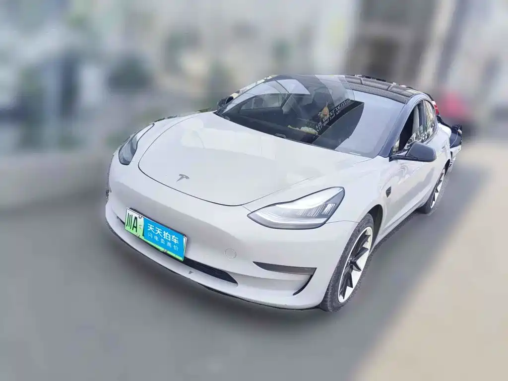 Tesla Model 3 (Import) 2019 Long Range RWD Version