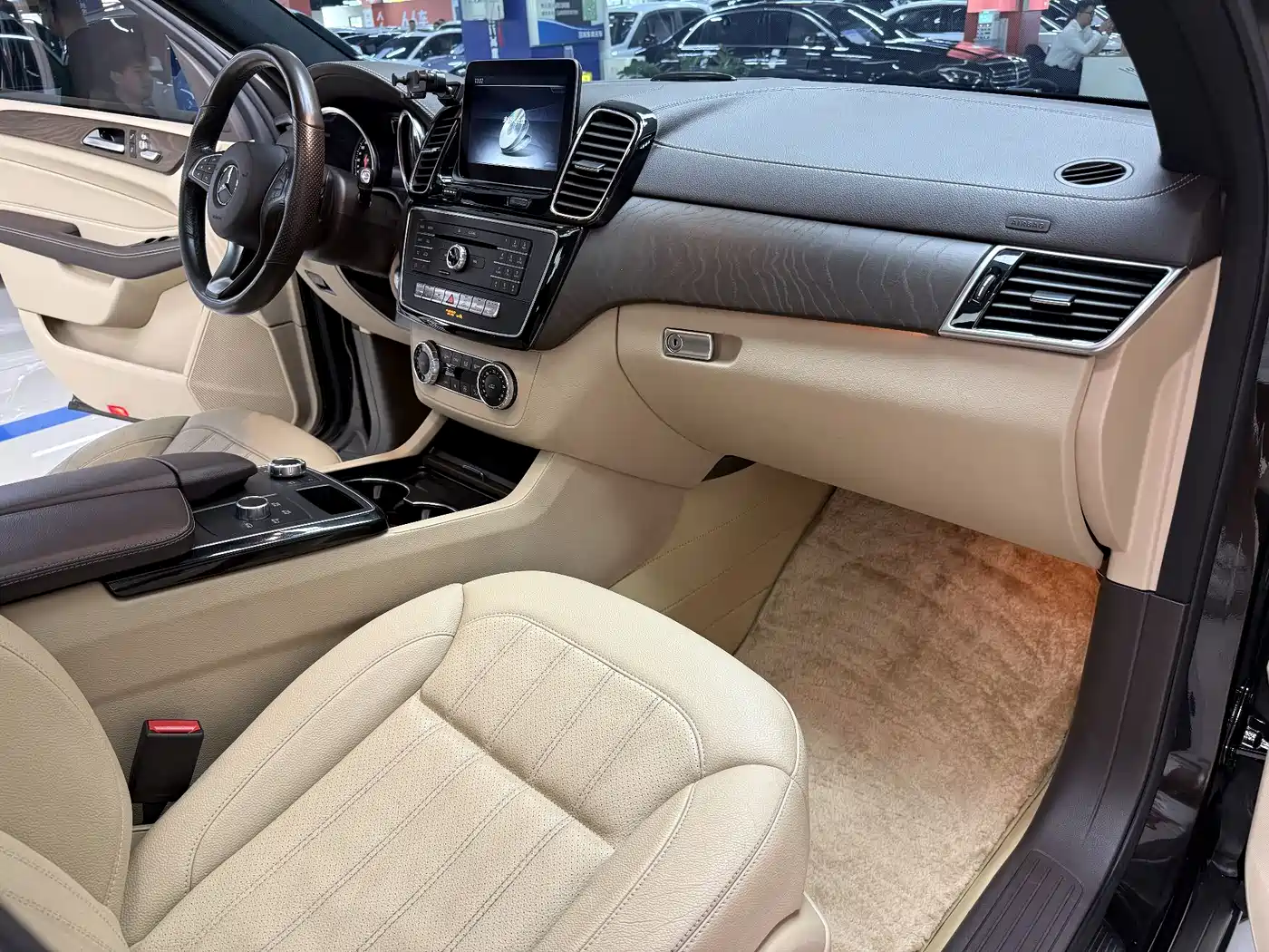 Mercedes-Benz GLE 2017 GLE 320 4MATIC Dynamic фото 10