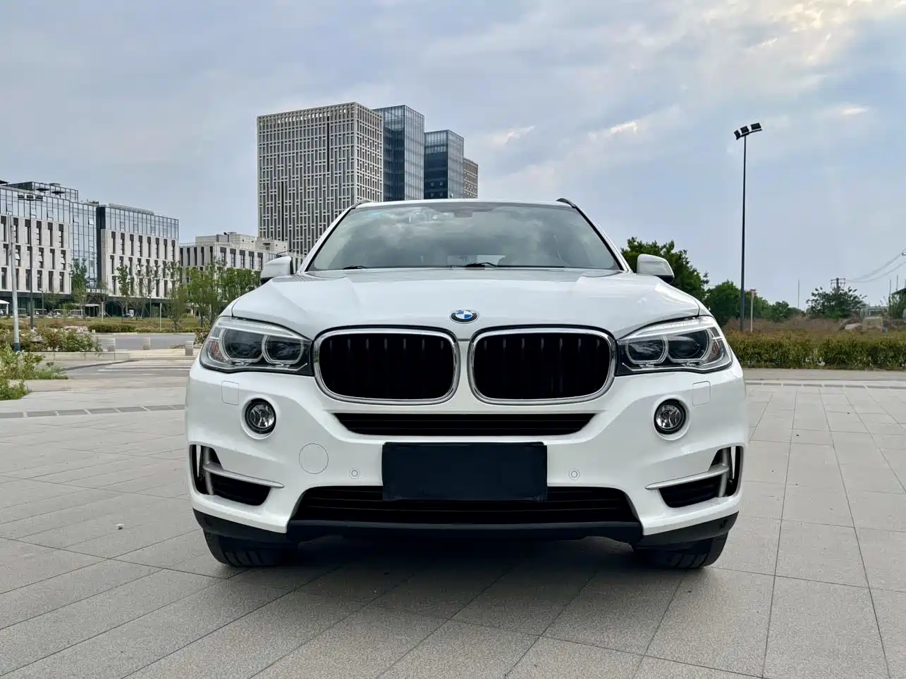 BMW X5 (Import) 2014 xDrive35i Leading фото 2