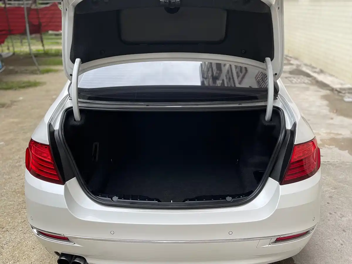 BMW 5 Series 2014 525Li Luxury Design Package фото 15