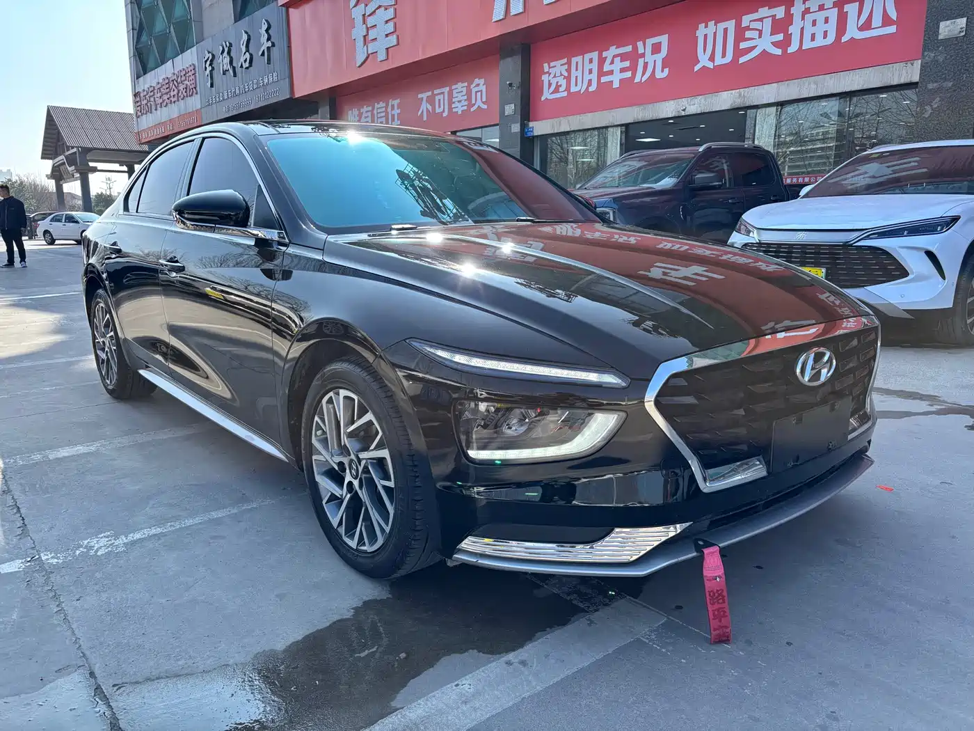 HYUNDAI NAME PICTURE