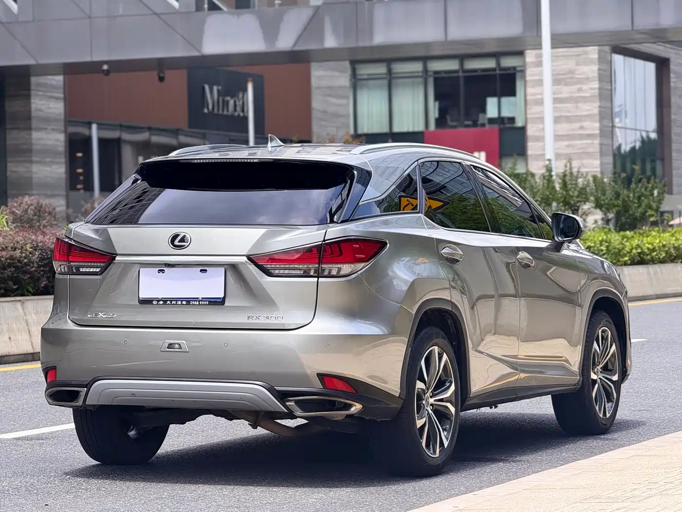 Lexus RX 2020 Facelift 300 AWD Elegance Edition фото 7