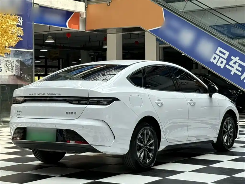 BYD Destroyer 05 2024 Glory Edition DM-i 55KM Luxury фото 22