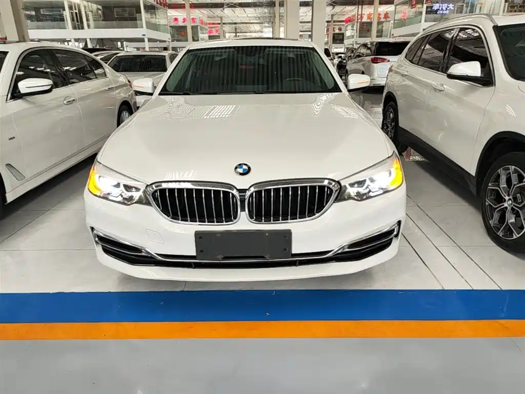 BMW 5 Series 2019 Facelift 530Li Leading Luxury Package фото 3