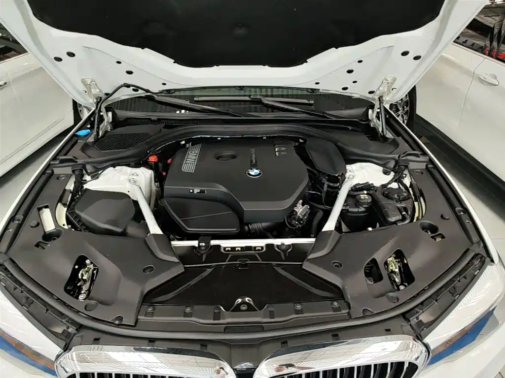 BMW 5 Series 2019 Facelift 530Li Leading Luxury Package фото 20