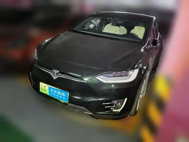 Tesla Model X 2020 Long Range Upgrade — фото 1