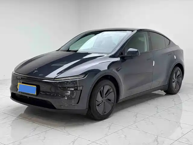 Tesla Model Y Задний привод