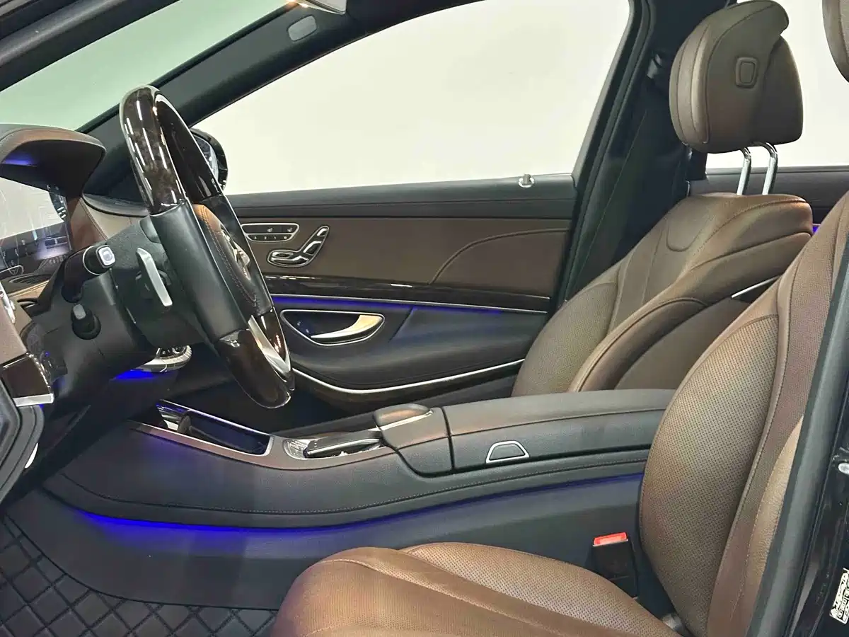 Mercedes-Benz S-Class 2020 S 350 L Premium Edition Collector's Version фото 10