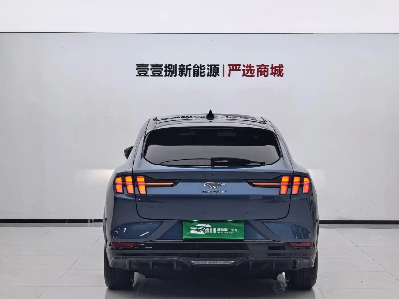 Ford Mustang Mach-E 2022 2021 Boundless RWD Luxury (Long Range)