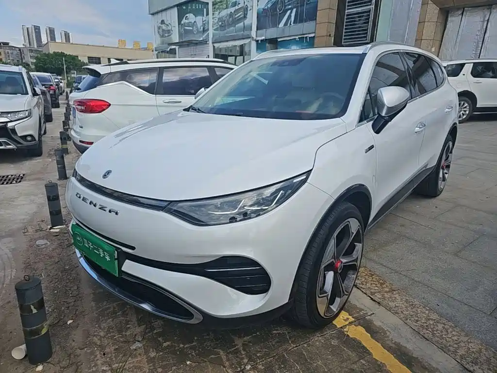 2021 Denza X