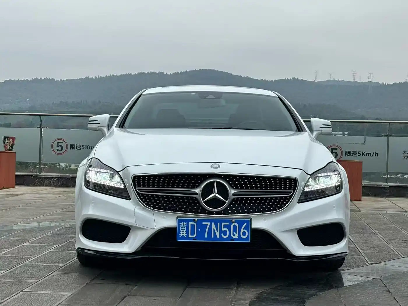 Mercedes-Benz CLS 2015 CLS 260 фото 2
