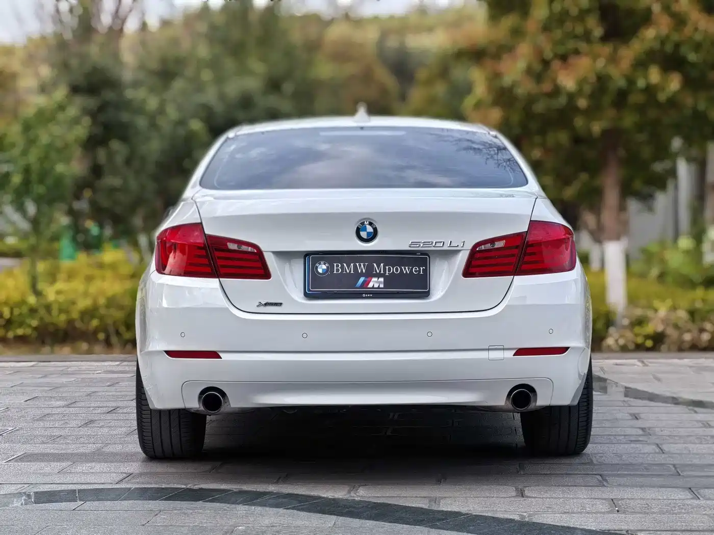 BMW 5 Series 2013 535Li Luxury фото 6