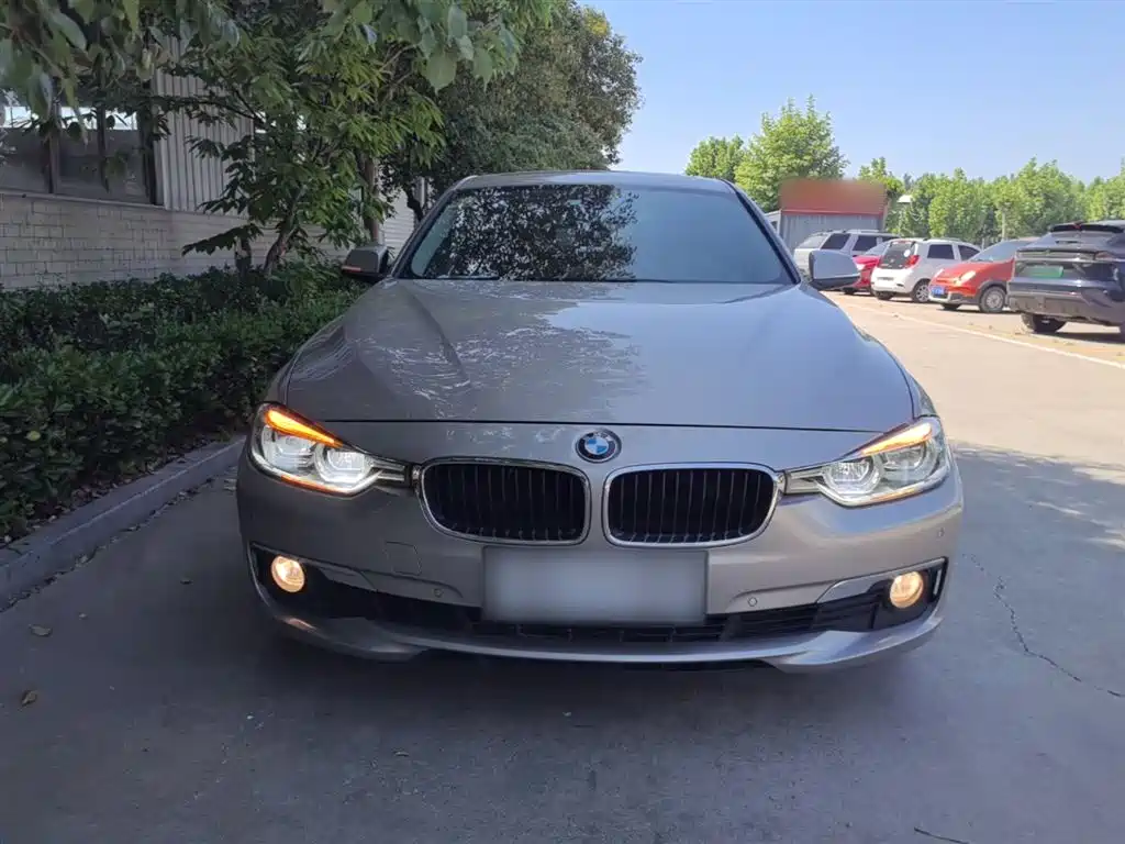 BMW 3 Series 2016 320Li Progressive фото 3