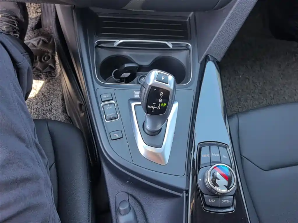BMW 3 Series 2016 320Li Progressive фото 14