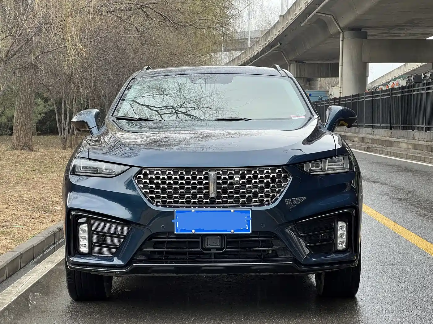 WEI PAI WEI BRAND VV7