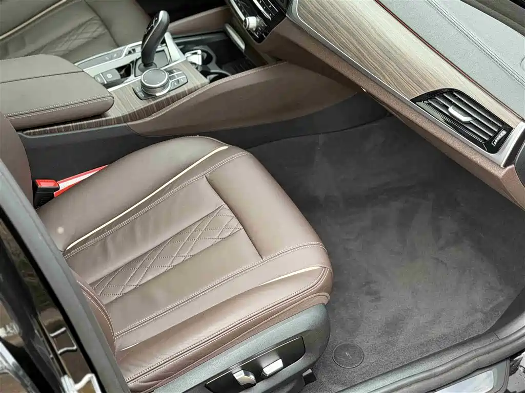 BMW 5 Series 2018 530Li Exclusive Luxury Package фото 13