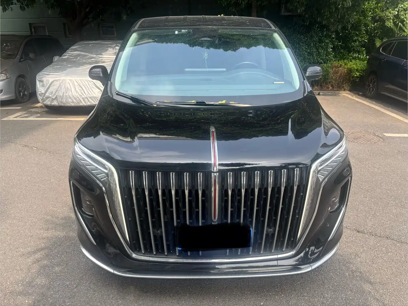 Hongqi HQ9 2023 2.0T Smart Connect Flagship фото 2