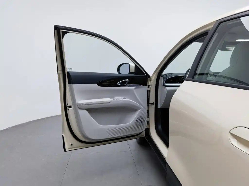 Geely Galaxy Starry Wish 2025 2025 310km Youth Edition