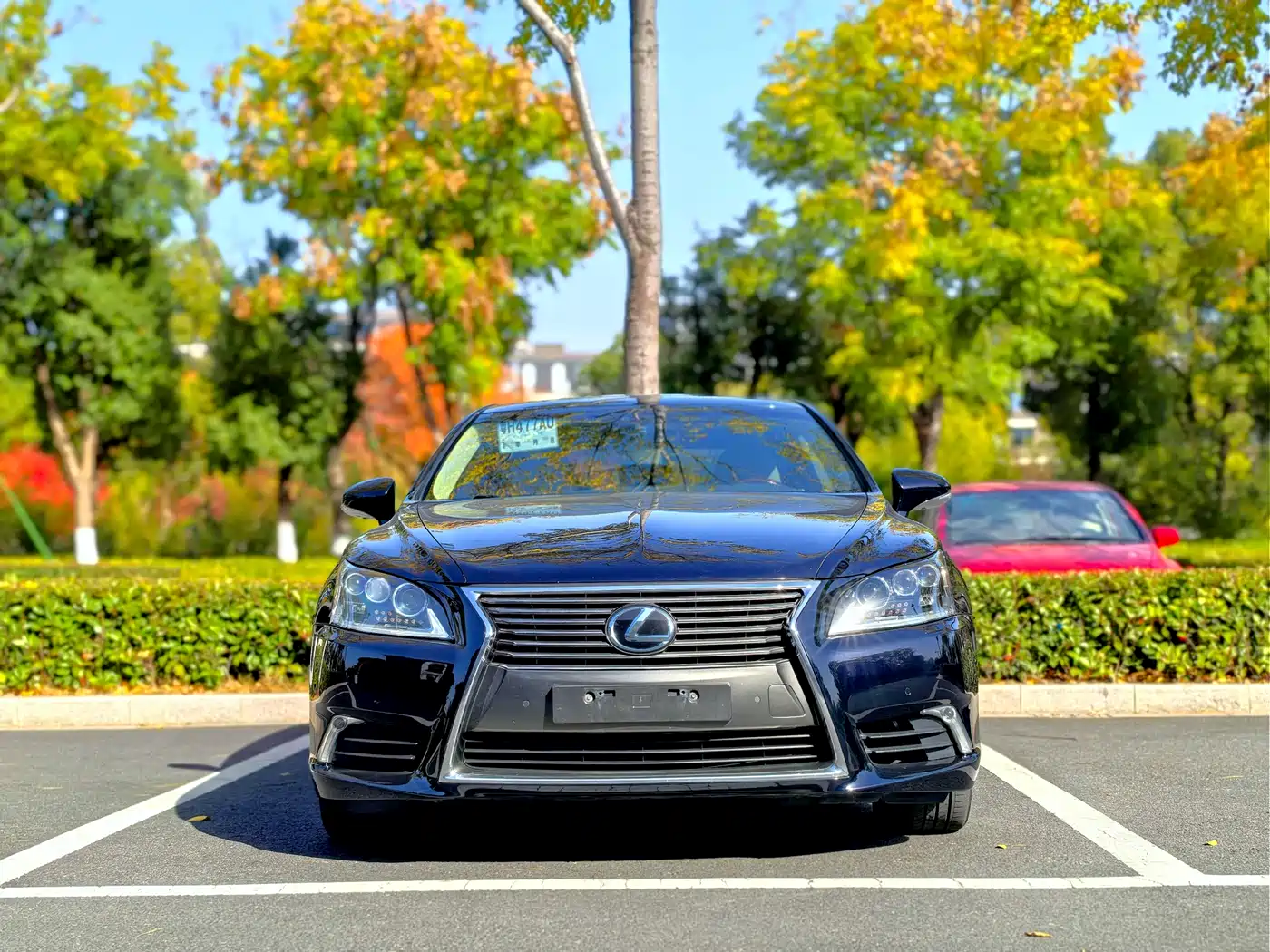 Lexus LS 2016 460L AWD Premium фото 2