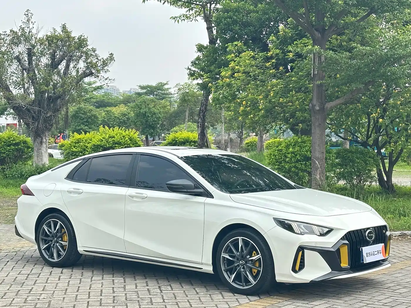 GAC SHADOW LEOPARD