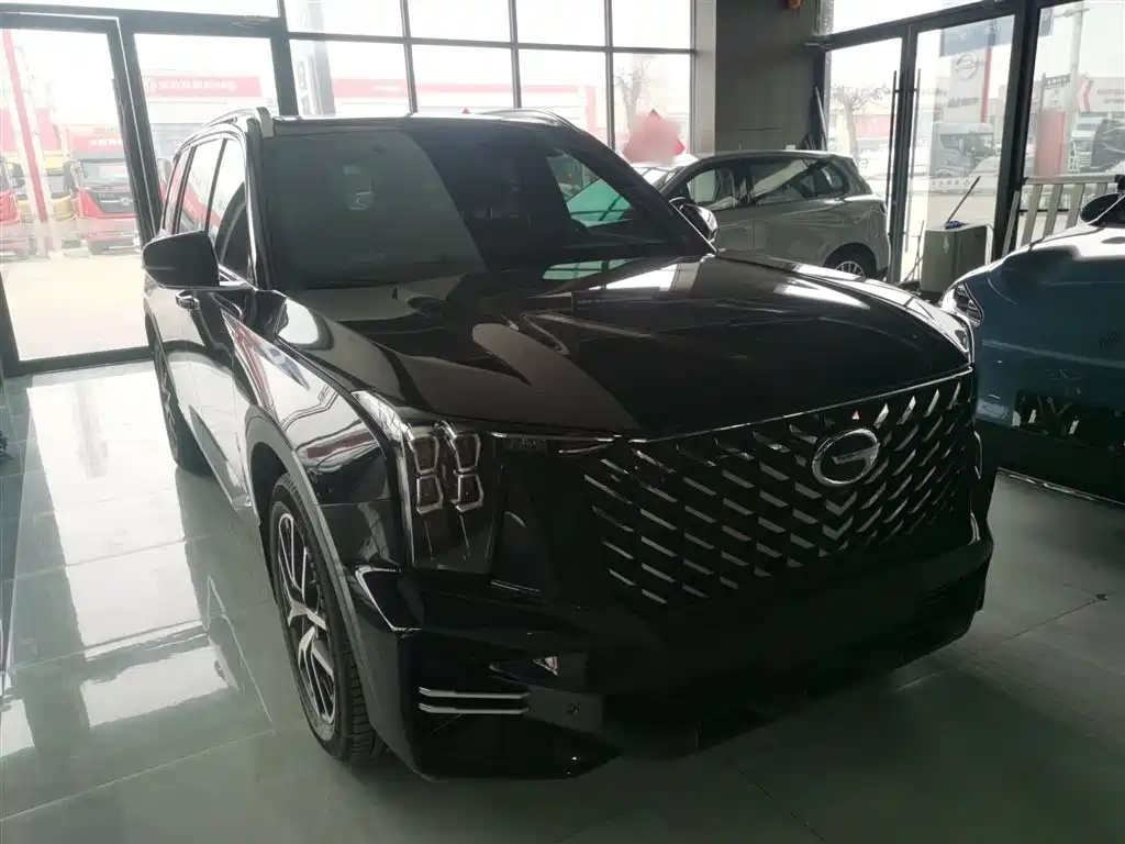 GAC Trumpchi Trumpchi GS8 2022 Pilot Series 2.0TGDI 2WD Luxury Smart Connect Edition (7-Seater) фото 22
