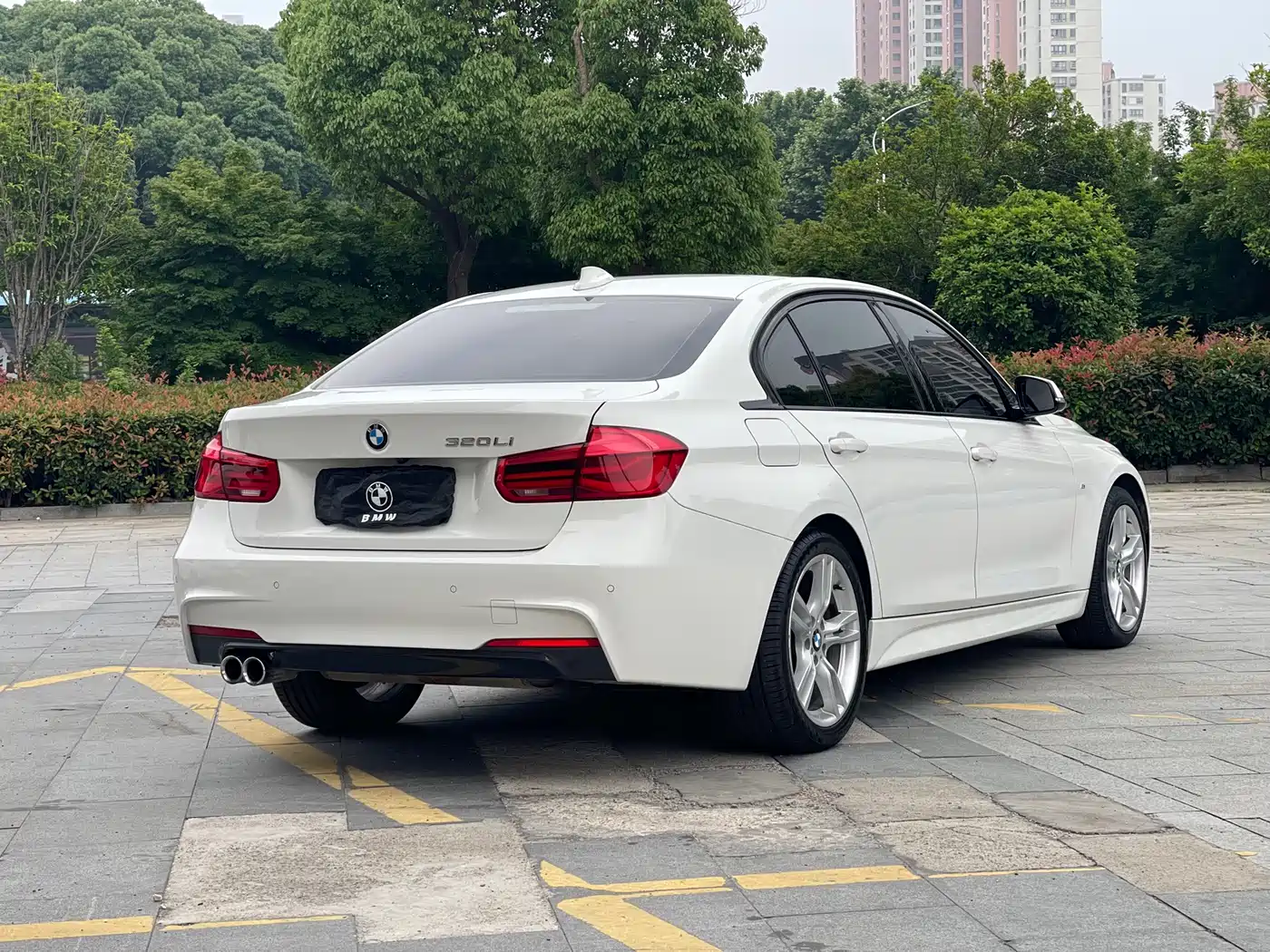 BMW 3 Series 2019 320Li M Luxury Package фото 8