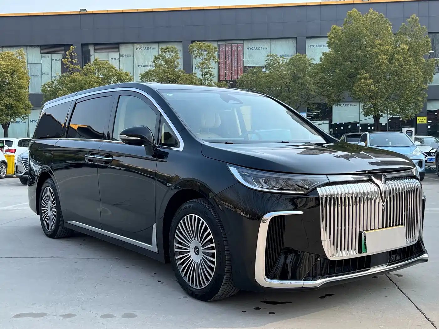 Voyah Auto Voyah Dreamer 2025 PHEV AWD Flagship Kunpeng Edition фото 9