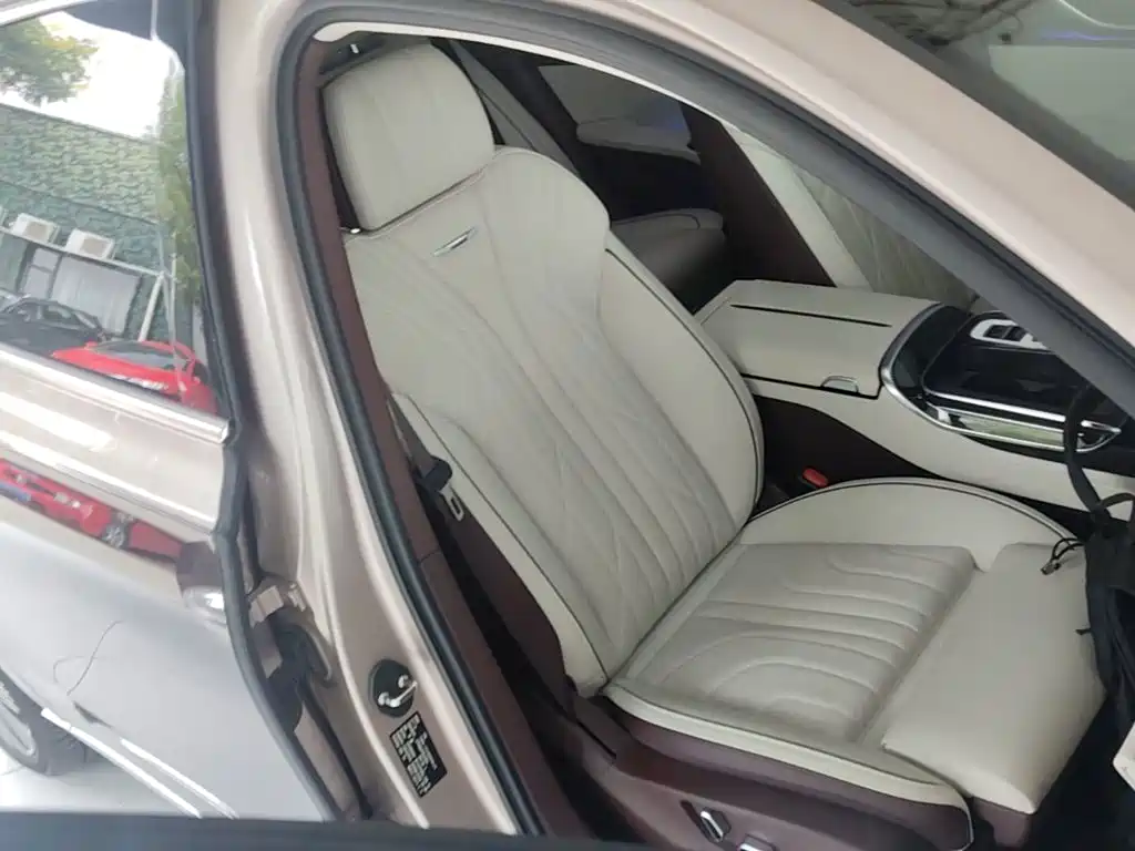 Photo 25 - Hongqi H9