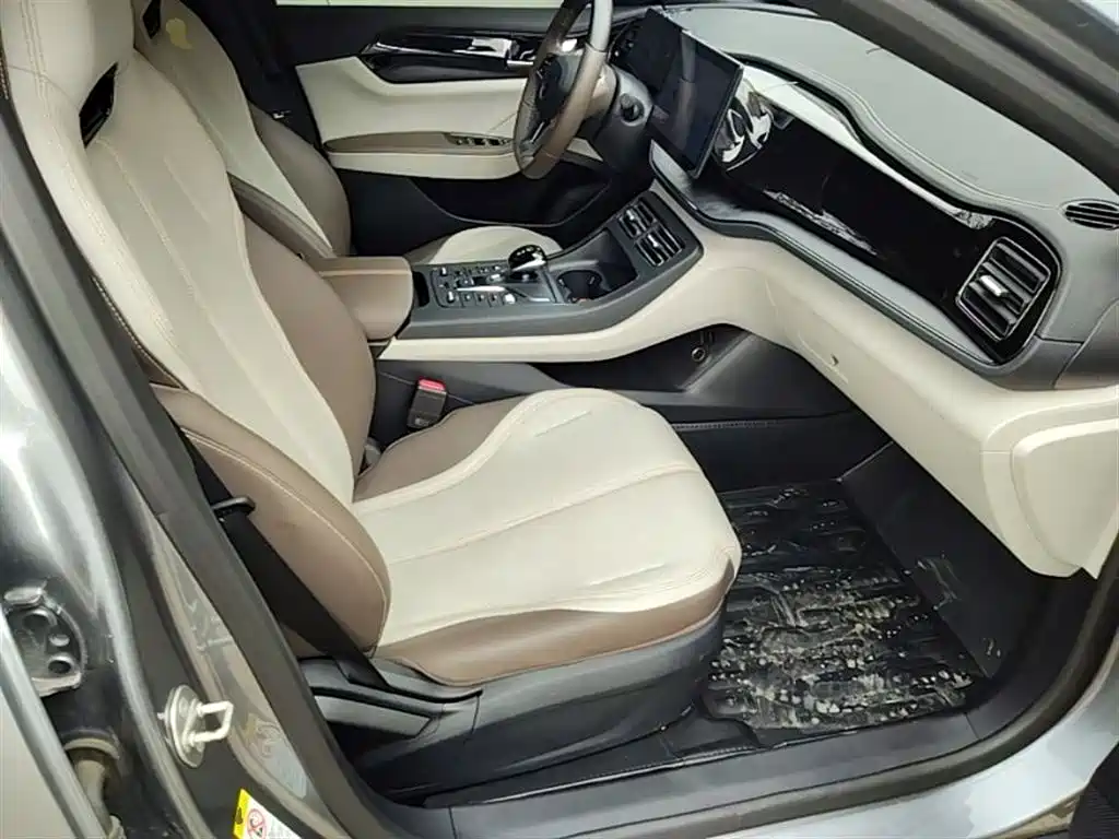 BYD Qin PLUS 2023 Champion Edition DM-i 55KM Leading фото 25