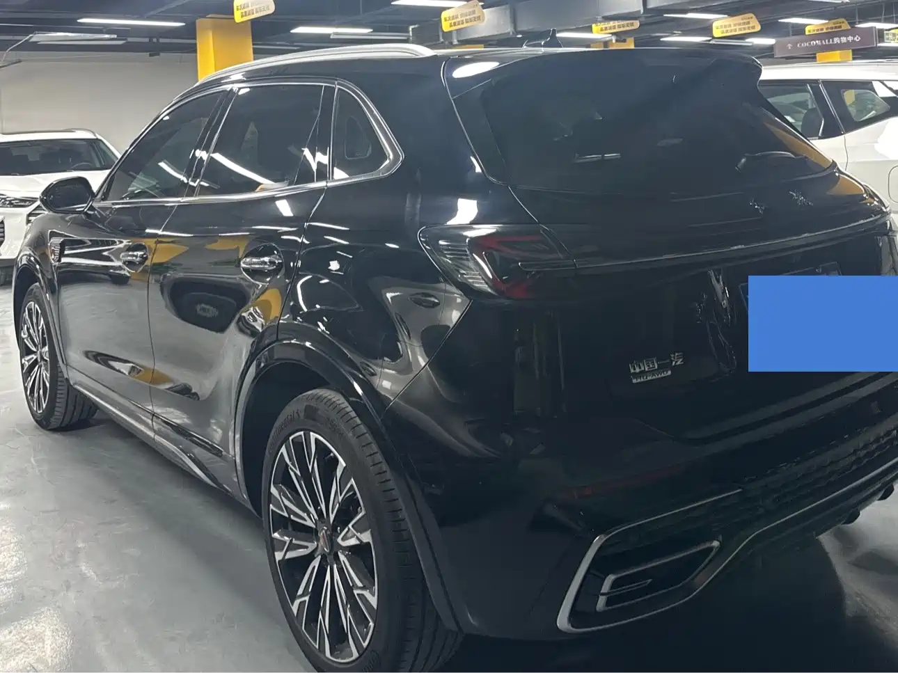 Hongqi HS5 2023 2.0T AWD Flag Pro 500,000 Units Commemorative Edition фото 12