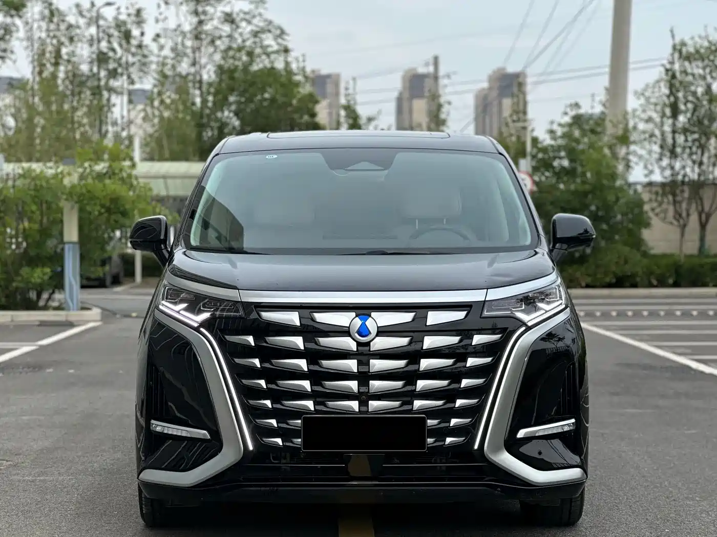 Denza D9 2024 DM-i 1050 Premium фото 3