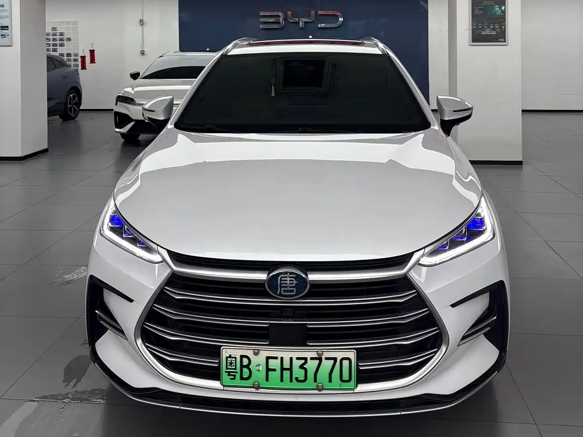 BYD Tang New Energy 2021 DM-i 112KM Honor фото 2