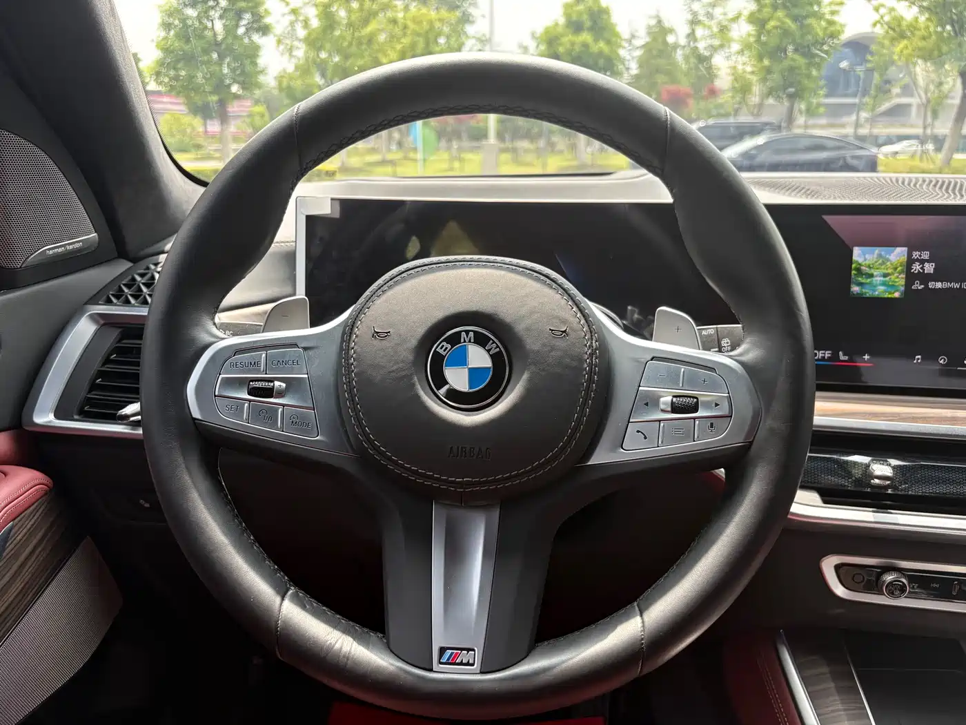 BMW X5 2023 xDrive 40Li M Sport Black Night Package фото 15