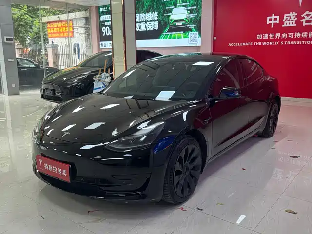 TESLA MODEL 3 2022