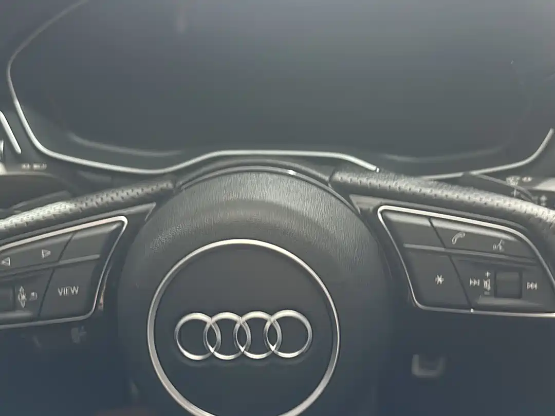 Audi A4L 2021 40 TFSI Premium Life Edition фото 14