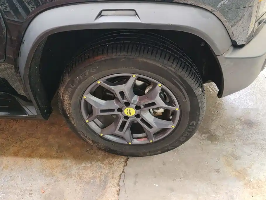 Jetour Shanhai T2 2025 2024 C-DM 129KM Forest Edition