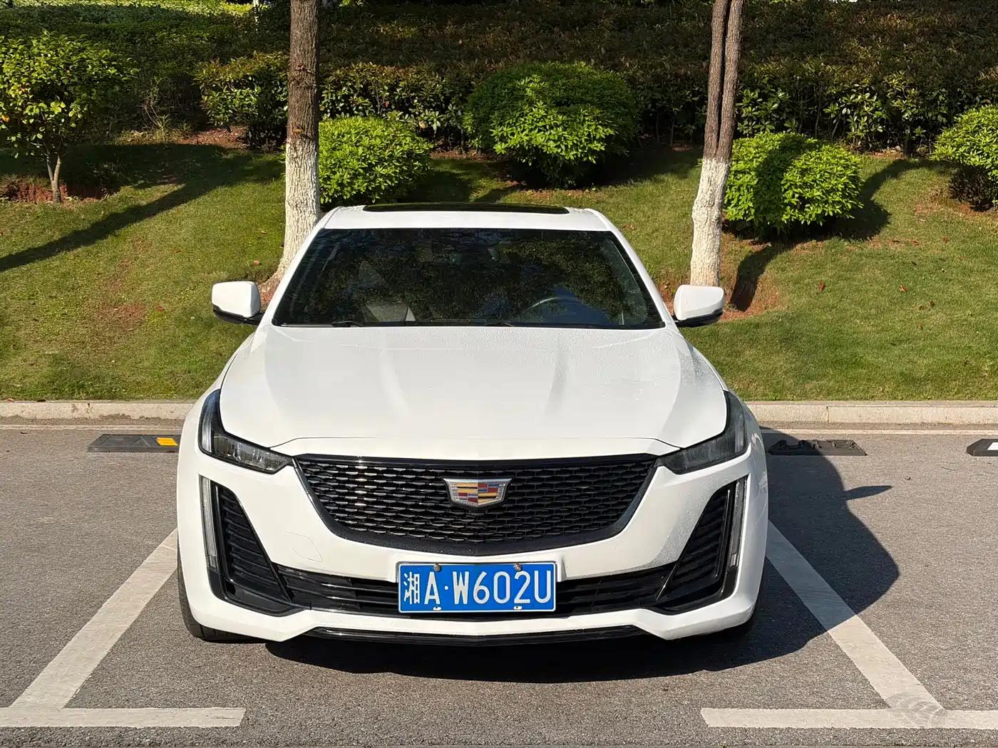 Cadillac CT5 2021 28T Luxury фото 2