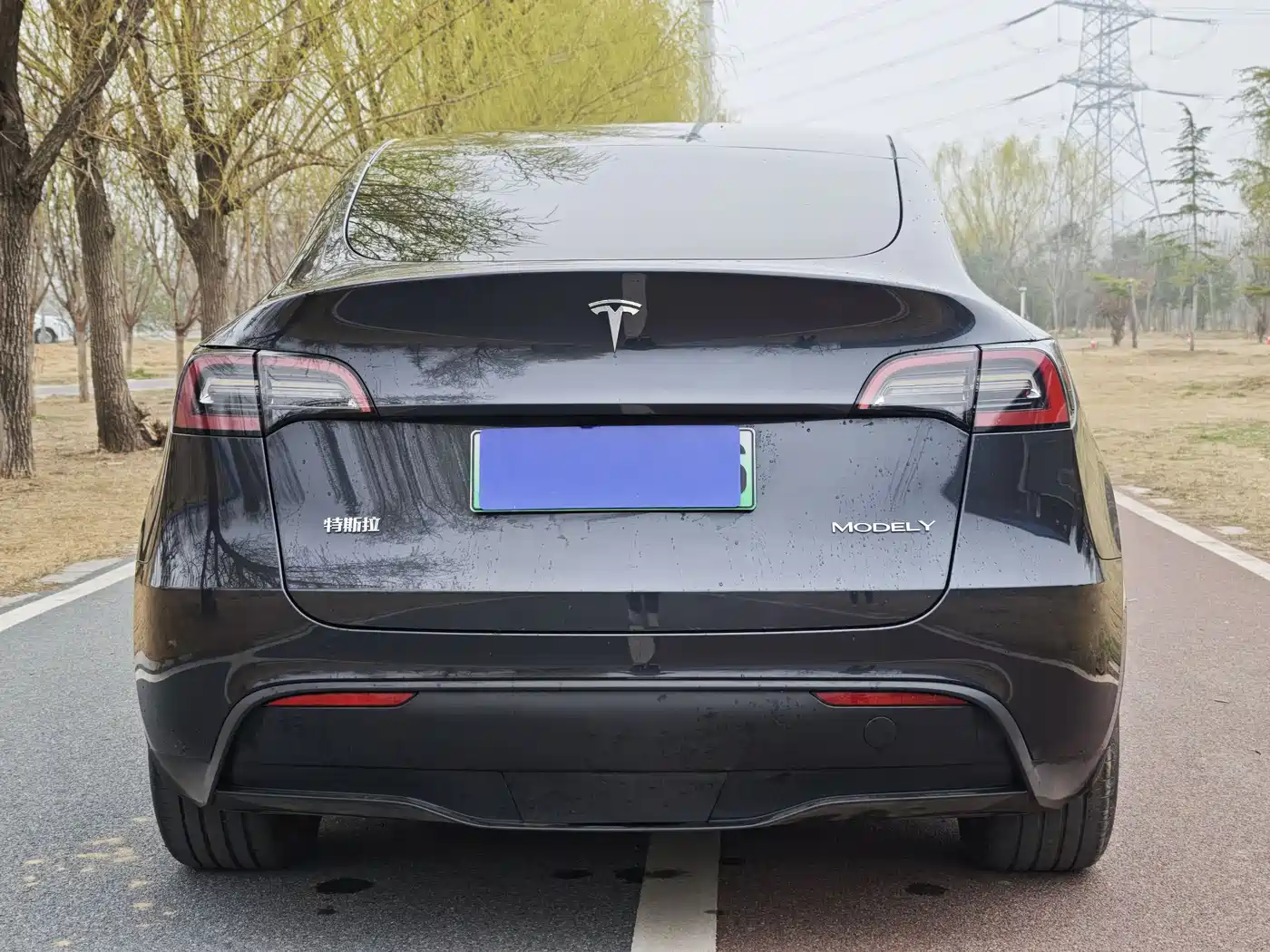 TESLA MODEL Y