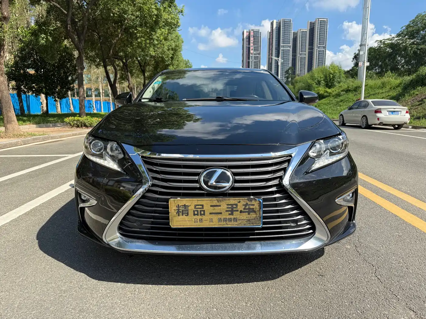 Lexus ES 2016 250 Midnight Special Limited Edition фото 2