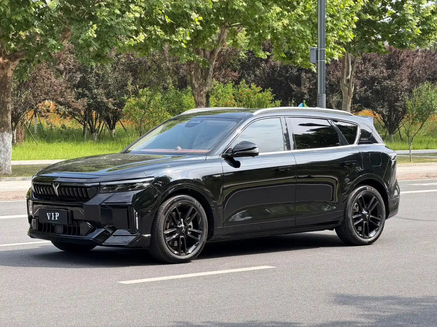 Voyah Auto VOYAH FREE 2024 Ultra Long Range Intelligent Driving Edition