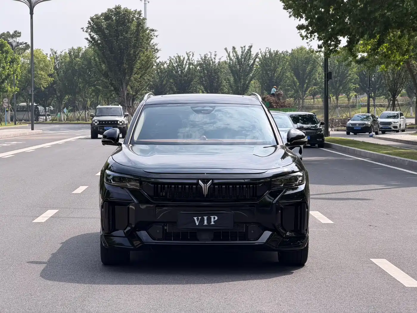 Voyah Auto VOYAH FREE 2024 Ultra Long Range Intelligent Driving Edition фото 2