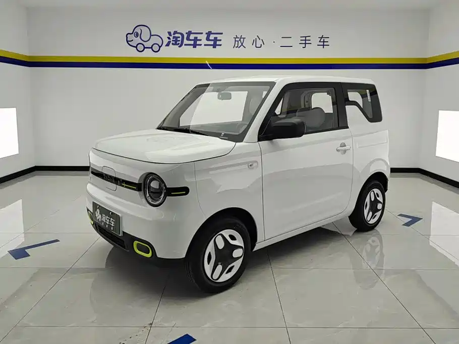 Geely Galaxy Panda 2025 Panda mini 210km Vitality Bear
