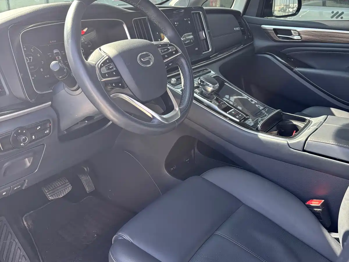 GAC Trumpchi Trumpchi M8 2023 Leading Series 390T Prestige Edition фото 5