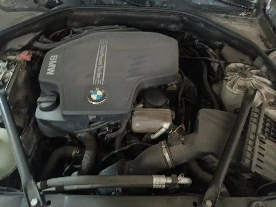 BMW 5 Series 2014 525Li Leading фото 10