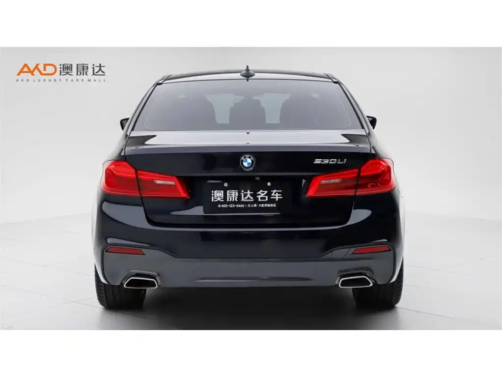 BMW 5 Series 2020 530Li Exclusive M Sport Package фото 4