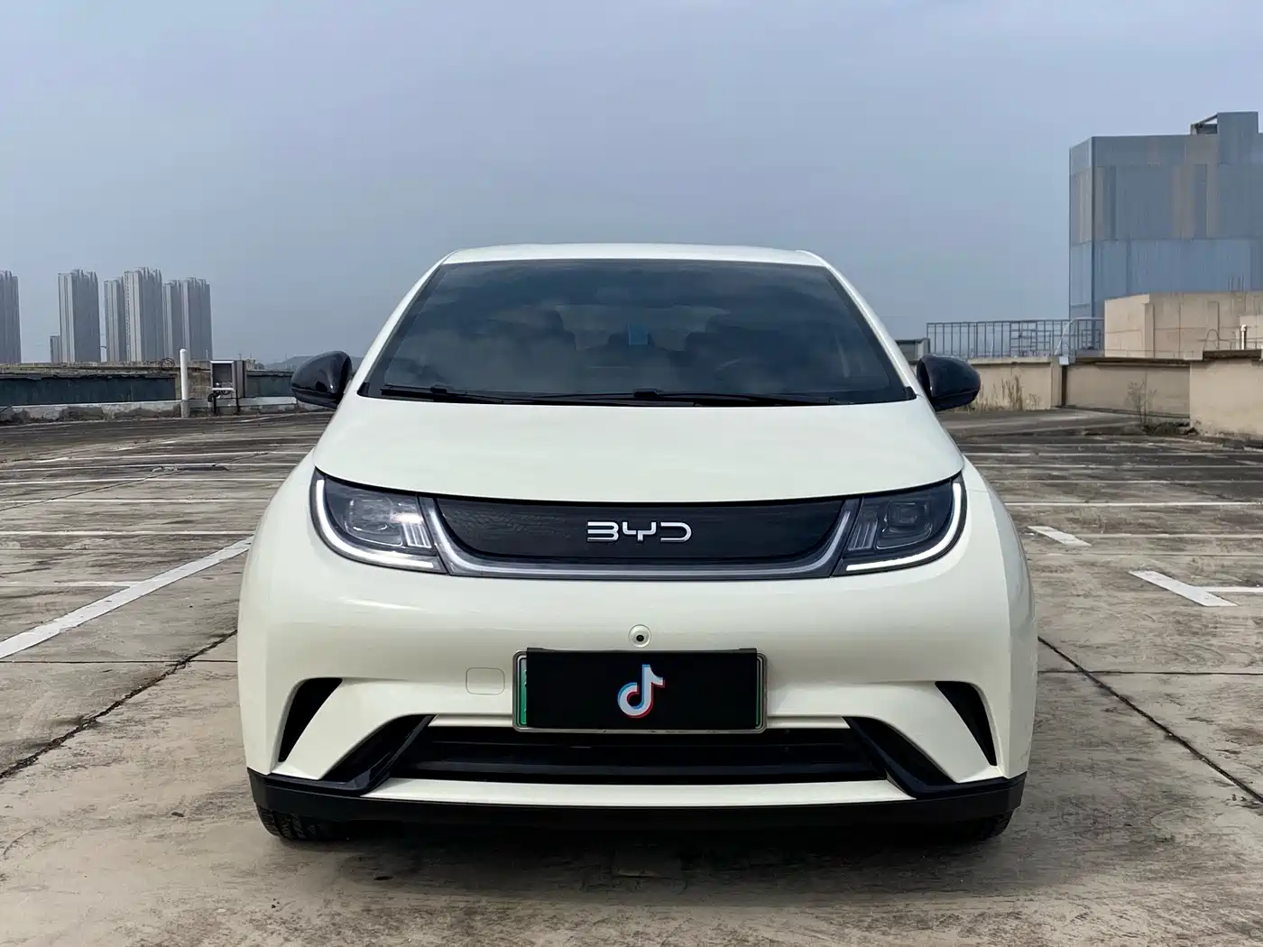 BYD Dolphin 2026 2025 420km Freedom Edition