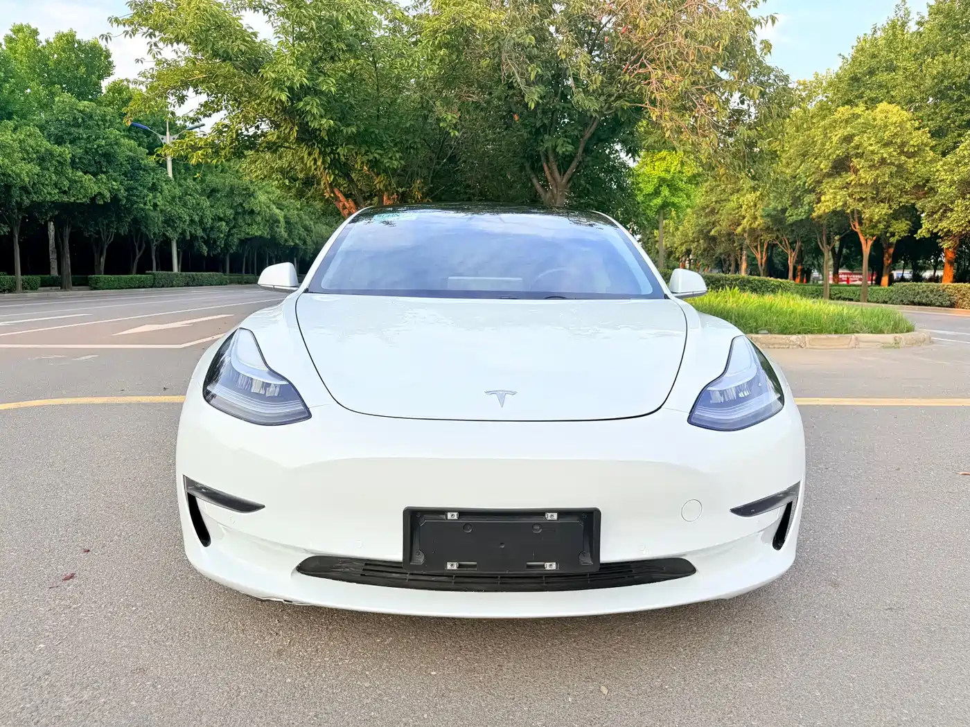 Tesla Model 3 (Import) 2019 2019 Long Range All-Wheel Drive Edition