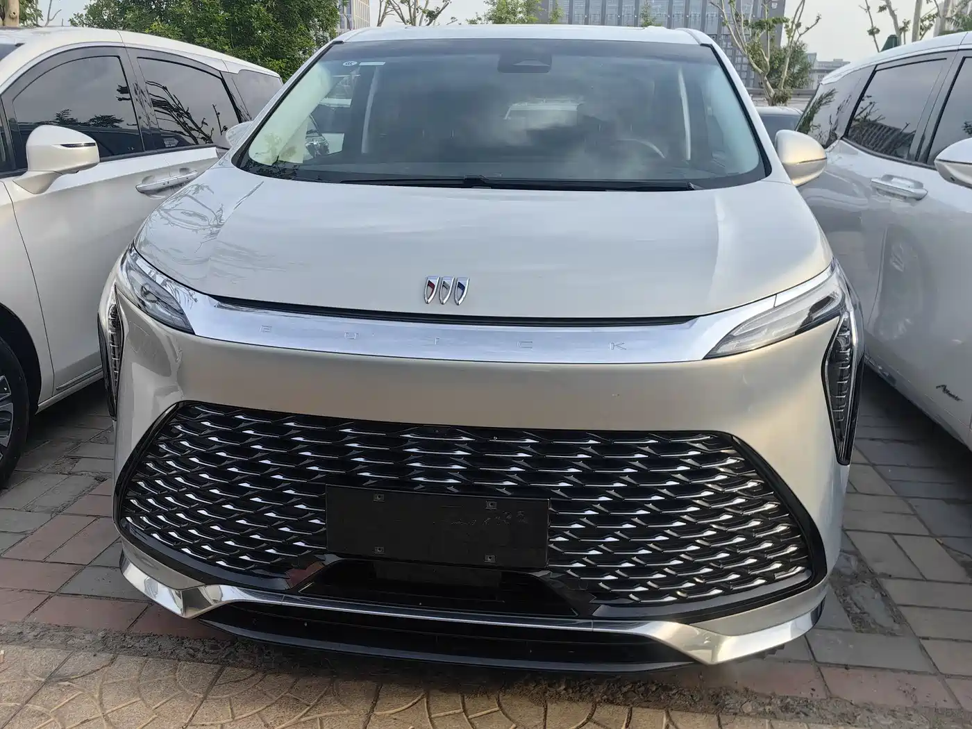 Buick Century 2025 2.0T 7-Seater World Edition фото 2