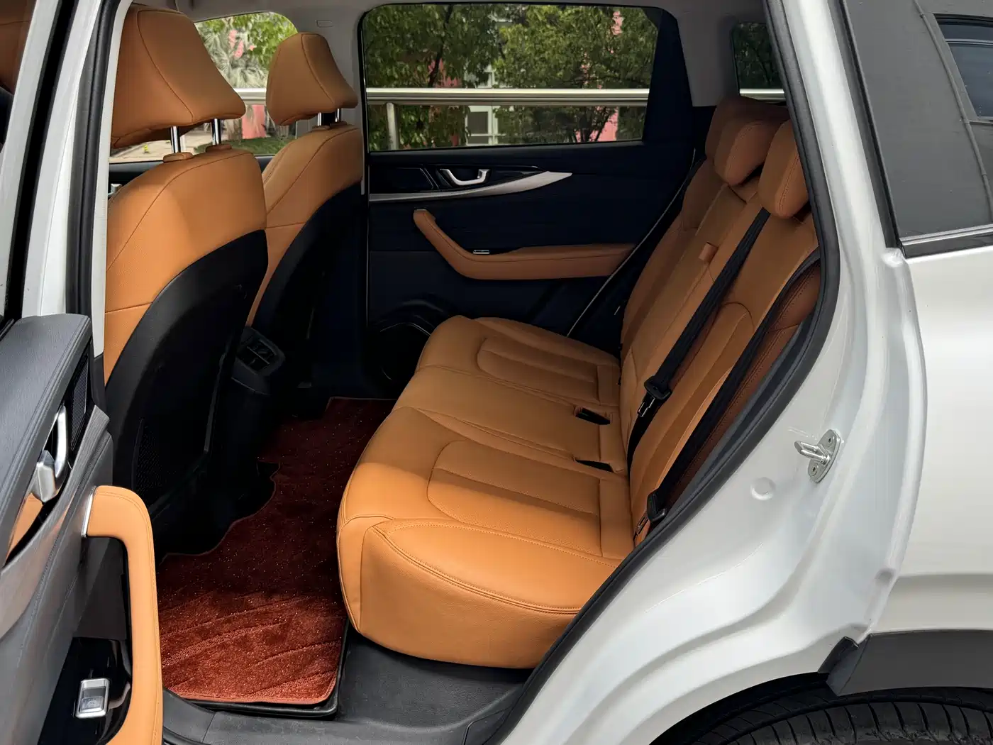 Weltmeister W6 2021 2021 520km ACE Ultimate Smart Edition