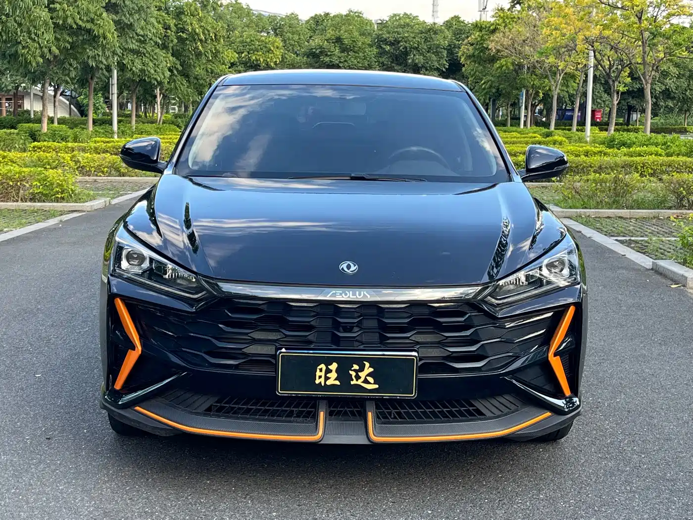 2025 Dongfeng Aeolus Yixuan